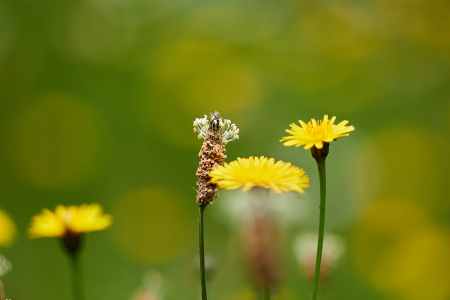 Image 14
